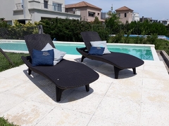 REPOSERA PACIFIC SUN LOUNGER Chocolate - comprar online