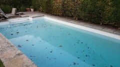 BORDES y SOLARIUM  (San Isidro Labrador) en internet