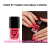 ESMALTES DE UÑAS ICONAILS GEL CATRICE en internet