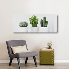 Panorámico "Cactus III"