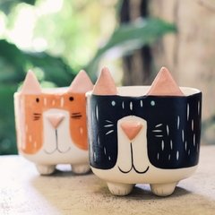 Maceta Gatito Pachula