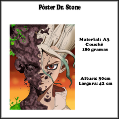 kit-dr-stone-02