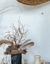 Pedestal Yakisugi - Compañía Botánica