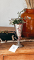 Terrario Silver Tasse