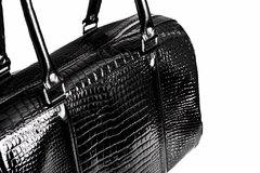 BAUL MASHA (Crocco Negro) en internet