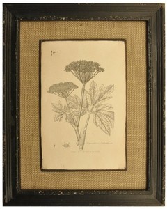 MARCO DE MADERA CON ARPILLERA CON IMAGENES DE PLANTAS - comprar online