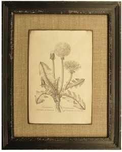MARCO DE MADERA CON ARPILLERA CON IMAGENES DE PLANTAS