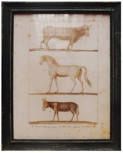 MARCO ANTIGUO EN MADERA CON IMAGEN DE ANIMALES