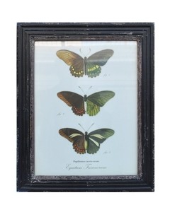 MARCO DE MADERA CON IMAGENES DE MARIPOSAS - comprar online
