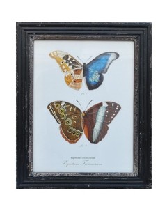 MARCO DE MADERA CON IMAGENES DE MARIPOSAS