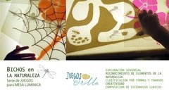 BICHOS en LA NATURALEZA. Serie de JUEGOS para MESA LUMINICA/ - Juegos de la Orilla