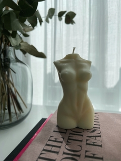 vela body