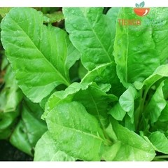 Espinaca deshidratadax 1 Kg - Tienda Oeste Alimentos Naturales