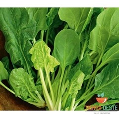 Espinaca deshidratadax 1 Kg en internet
