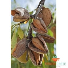 Harina de almendras x 1 Kg - tienda online