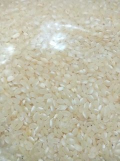 Arroz koshihikari p/sushi ( 5kg) - Tienda Oeste Alimentos Naturales