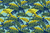 Yellow palm