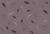 Organic leaves