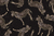 Black zebra - comprar online