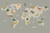 Dinos map