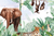 Gambia - shop.lucatdisenios.com