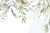Green calm - comprar online