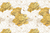 Golden peony - comprar online
