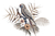 Loros - comprar online