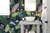 Lovely jungle en internet