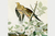 Seed - comprar online