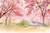 Sakura park pink - comprar online
