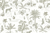 Surinam oliva - comprar online