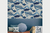 Surf wave