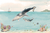 Cute Humpback Whale