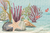 Cute Humpback Whale en internet
