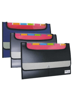 Clasificador c/visor A4 / Oficio FW
