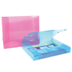 Carpeta c/elástico - comprar online