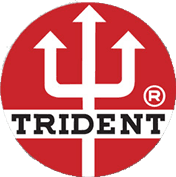 Nankin profissional Trident 20ml. - comprar online