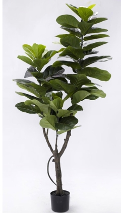 Planta Artificial Ficus Pandurata 1.80 mts - 4/22