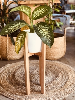 Pie de maceta madera 50 cm para maceta de 22cm - NO INCLUYE MACETA