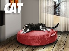 Classic - Cat