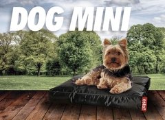 Classic - Dog Mini