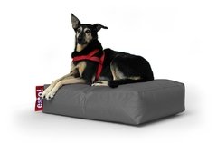 Imagen de Classic - Dog Mini
