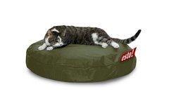 Classic - Cat