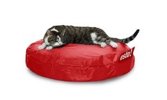 Classic - Cat en internet