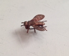 Abeja
