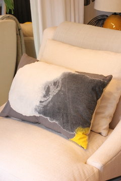 ALMOHADON PINTADO - comprar online