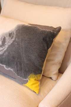 ALMOHADON PINTADO