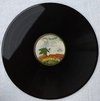LP Bunny Wailer - Sings The Wailers (Original US Press) [VG+] na internet