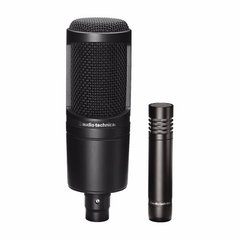 Micrófonos Condenser Audio Technica At 2041SP
